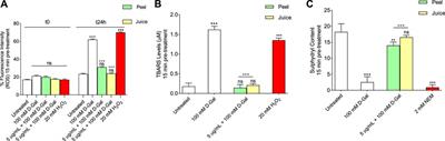 Mechanisms underlying the anti-aging activity of bergamot (Citrus bergamia) extract in human red blood cells